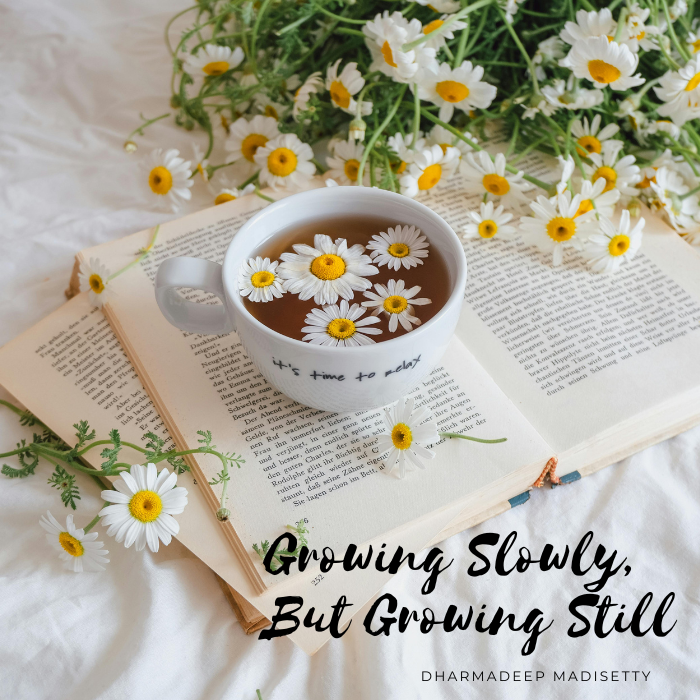 Growing Slowly, But Growing Still